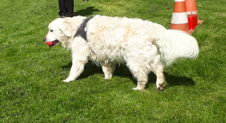 Und uf glichem Wäg wieder zrugg