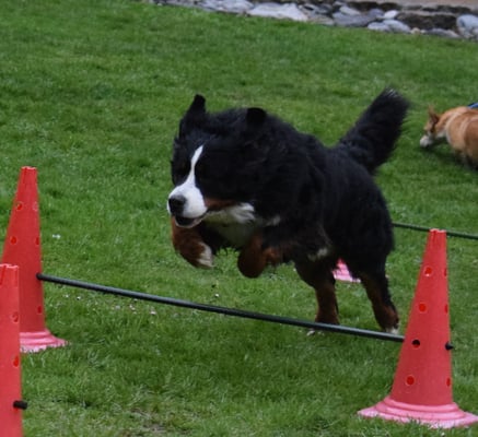 Ändlich!!! Juhuiiiii!!!!!