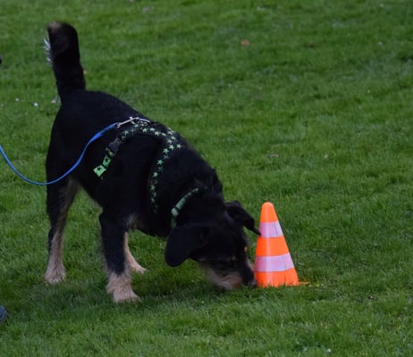 Gschänkli sueche? Oder es Ostereili?