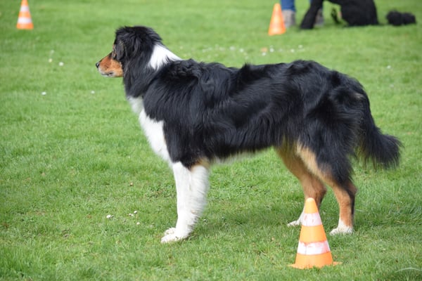 Aber ächt, jetzt wirds langwielig...