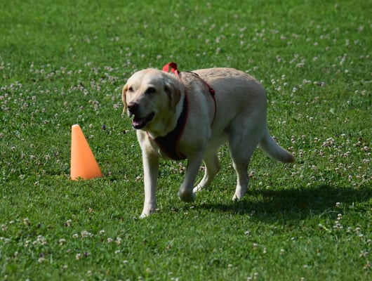 Irgendwie schaff i dr Stopp hüt nid!!!