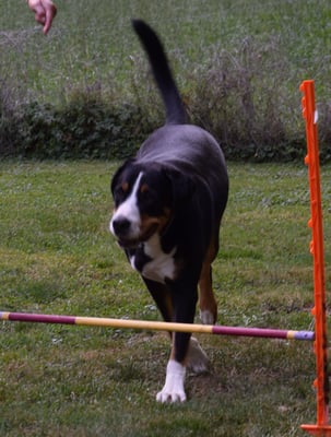 Er macht das suuuper!