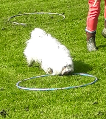 ... in ä Hula-Hopp-Ring...