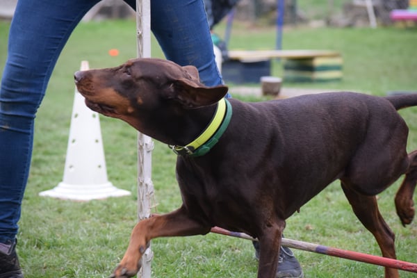 Gheit ächt öbis abe???