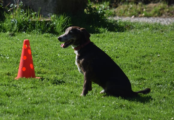 Das muess i denn au so mache