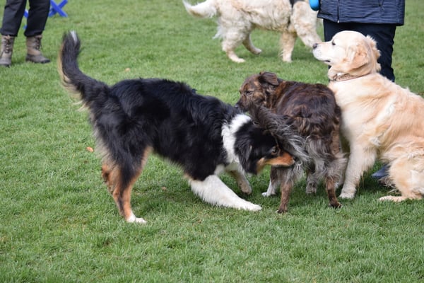 Bitz s Hirni lüfte...