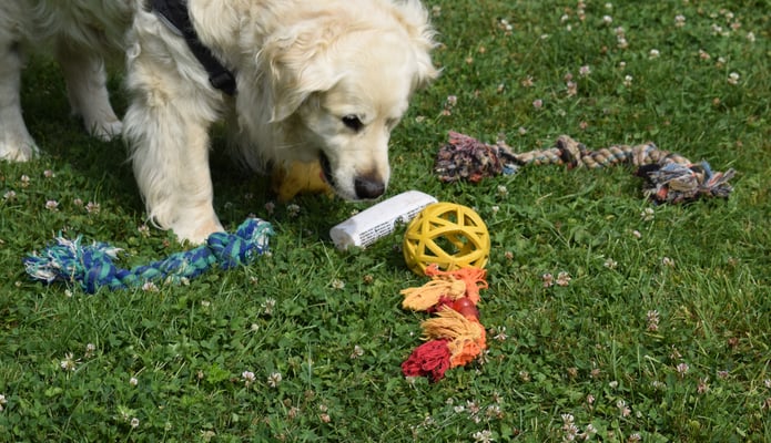 Nomol entscheide....