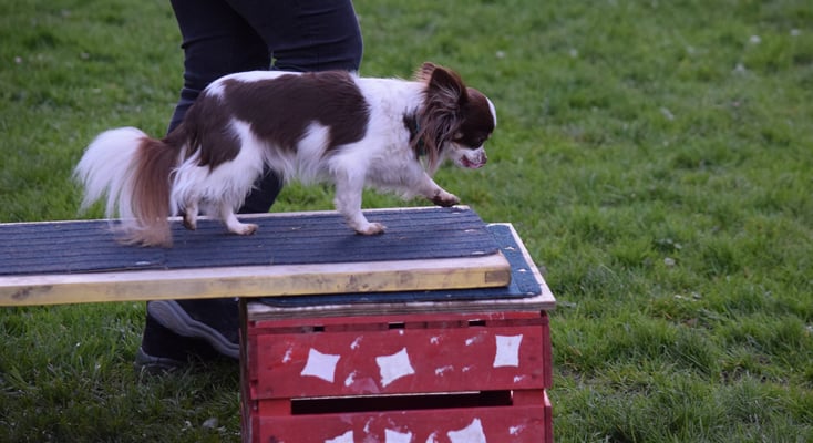Nei, drüberlaufe, ohne Halt