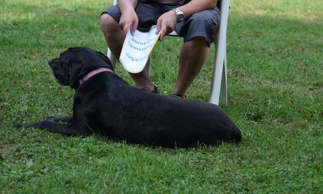 Was mühen mehr jetzt mache?