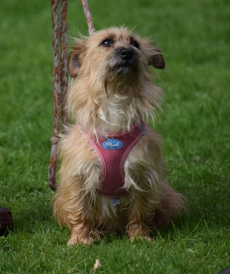 Das isch doch kei Problem für eus!!!