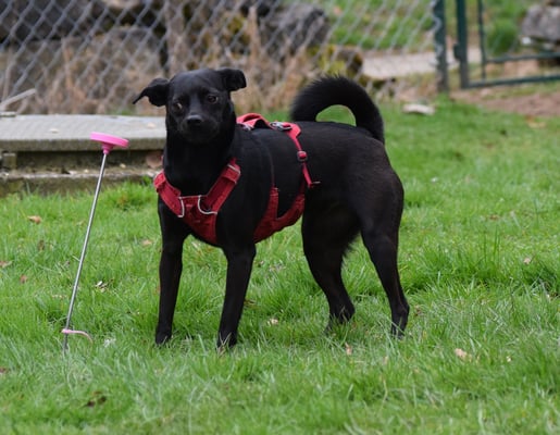 Leer, bi gaaaanz sicher