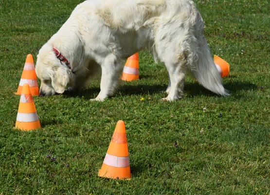 Tja, do ligt s eint oder andere umkippt am Bode
