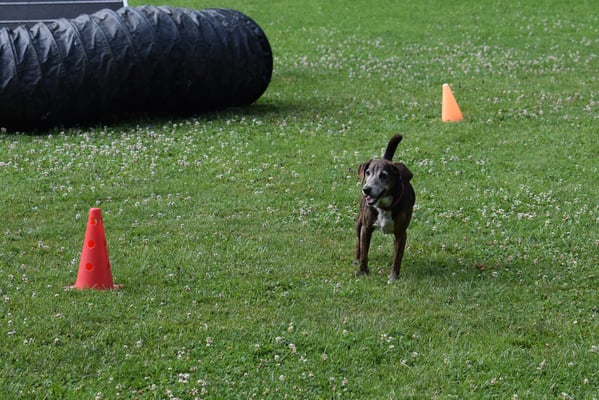 ... Vollstopp -Klappt!