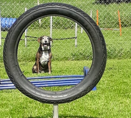 Wenn darf i starte???