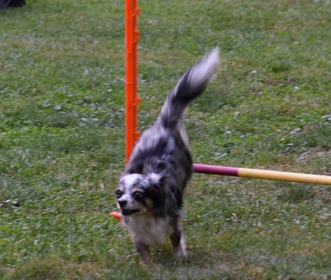 ... dr letschti Sprung