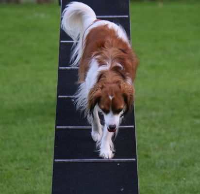 Scho uf dem Abstig - jetzt no d Zone guet mache..