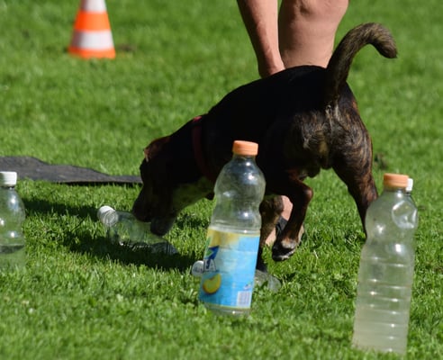 I stupps mol die Fläsche um