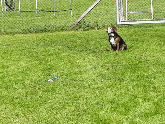 Grossi Spannig vor em Start!