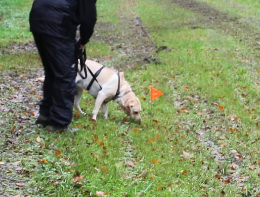 D Sina macht ungwollt..