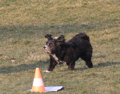 Dr Neo mit fliegende Ohre - bald hebt er ab!