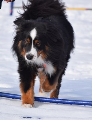 Ok. Das schaff i mit links!