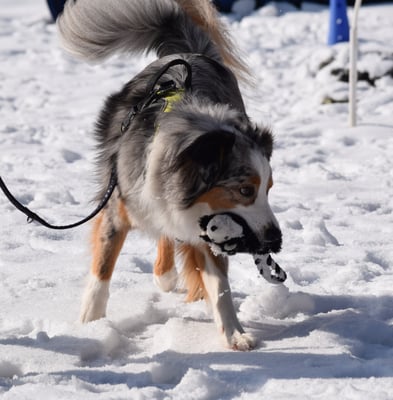 I nimms mol trotzdem uf