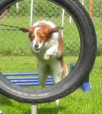 Sehr elegant gseht das aus!