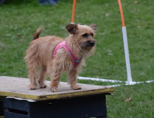 Ufe... Dörf i grad druf bliebe?