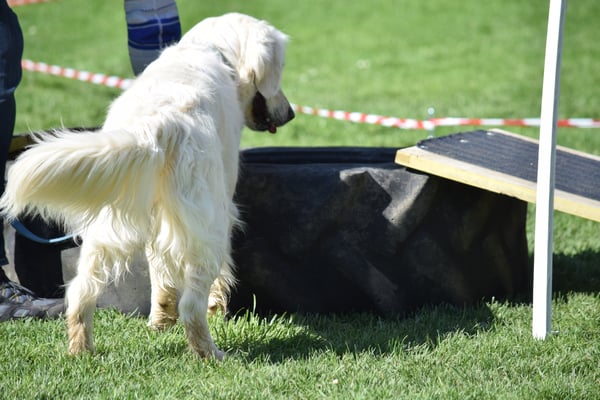 Was, doooo ine söll i?????