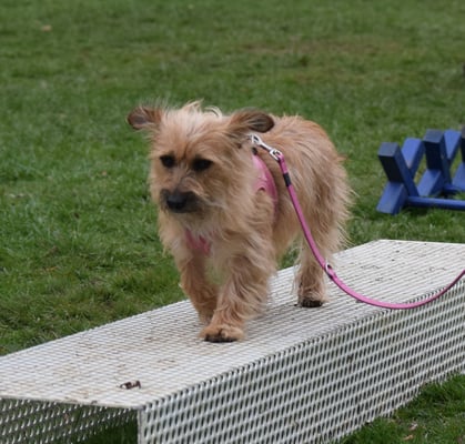 Gitter mache mir gaaar nüt