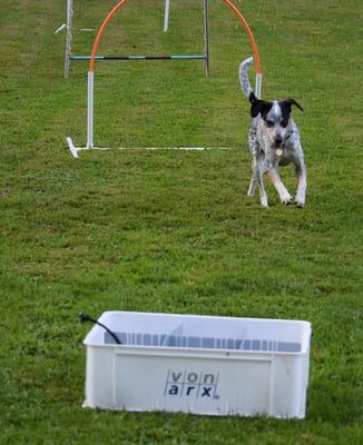 ... zu derä Chischte...