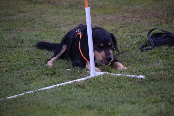 Mmmmmhhh, i bi scho an dr Belohnig...