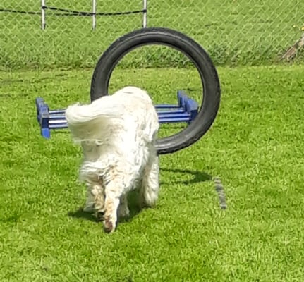 ...und zrugg drmit nomol dur dr Pneu