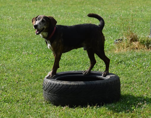 ... Steh uf em Pneu...