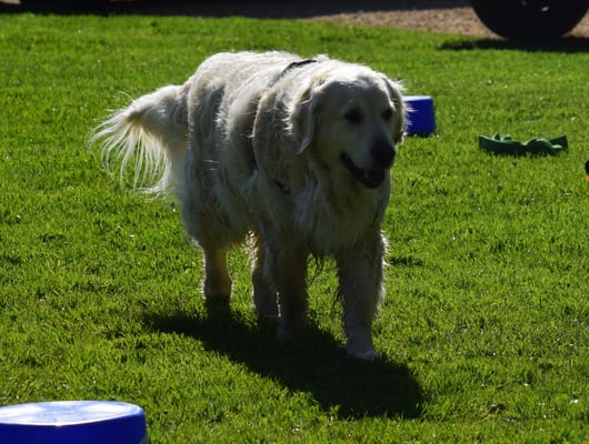 Abrüefe dur ä Gass mit vielne Verleitige