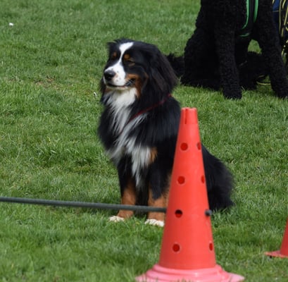 Und grad nomol s gliche