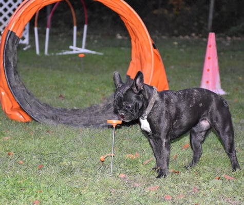 I nimm mol s Gutzi drab