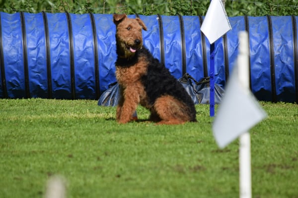 Jojo, kein Stress...