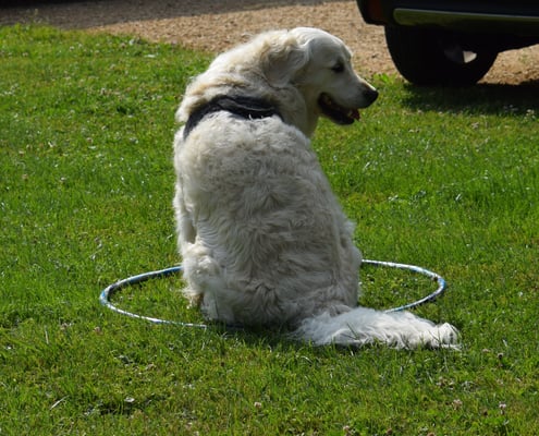 ... Ah, sitze söll i.