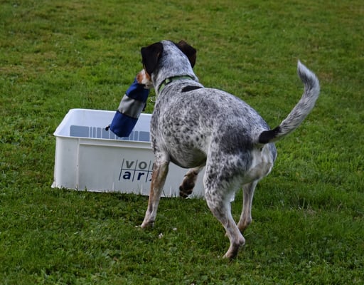 ... useneh und zruggbringe