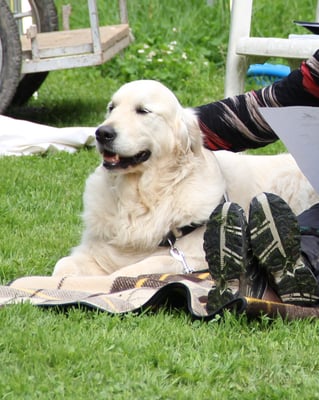 Mach doch biiiiiittte weiter!