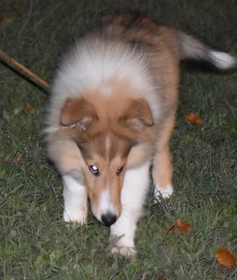 ... i gang mol in die Richtig los go untersueche