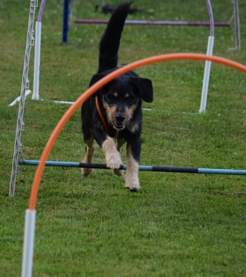 Yeah, das macht Spass!