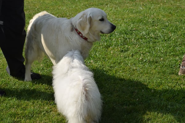 Du au wieder zrugg us dä Ferie! Schön!