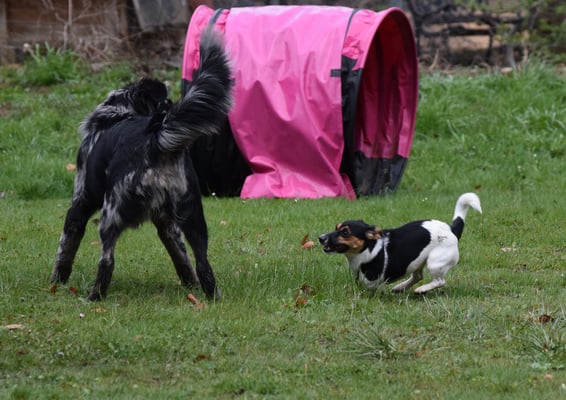 Und schnäll wieder wäg