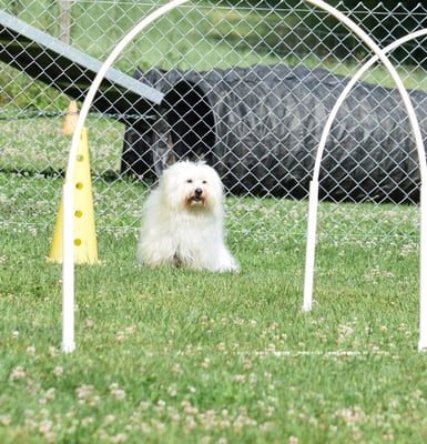 Hmmmm, wie söll das ächt go???