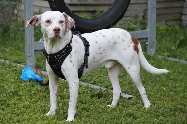 Wow, dä Betrieb, do muess i nur stuune!