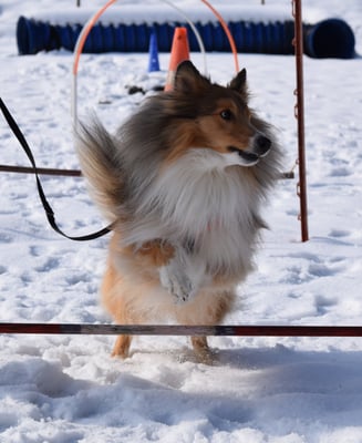 Das macht sooooo Freud!