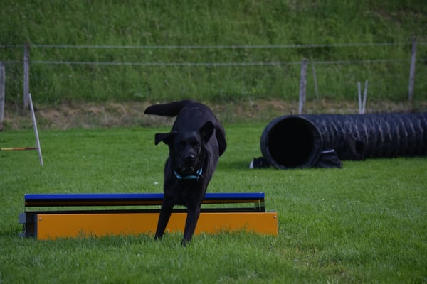 Aber i has gschafft! Bi drüber...