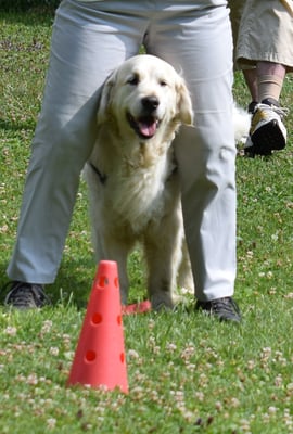 In dr Startposition bi i mol...